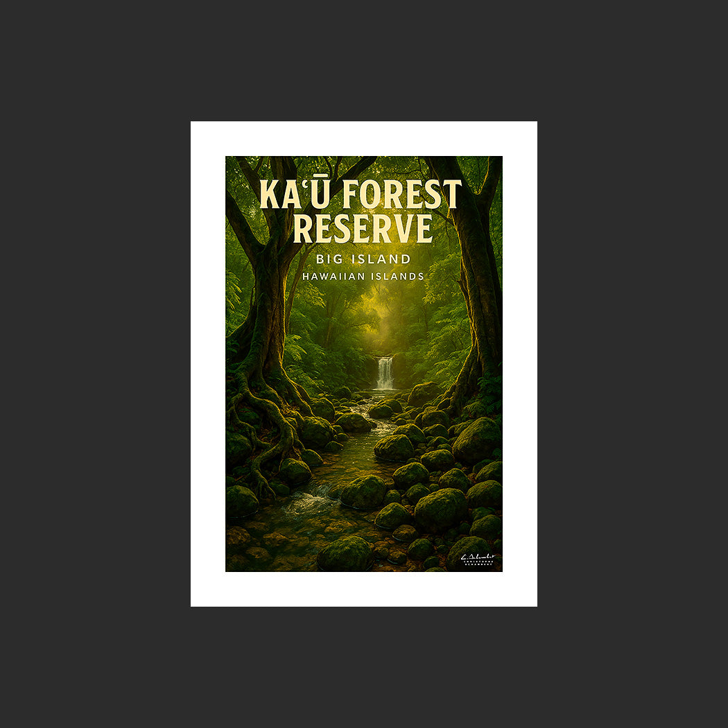 Affiche SP0203 Ka'u Forest Reserve Big Island Hawaï forêt tropicale en été