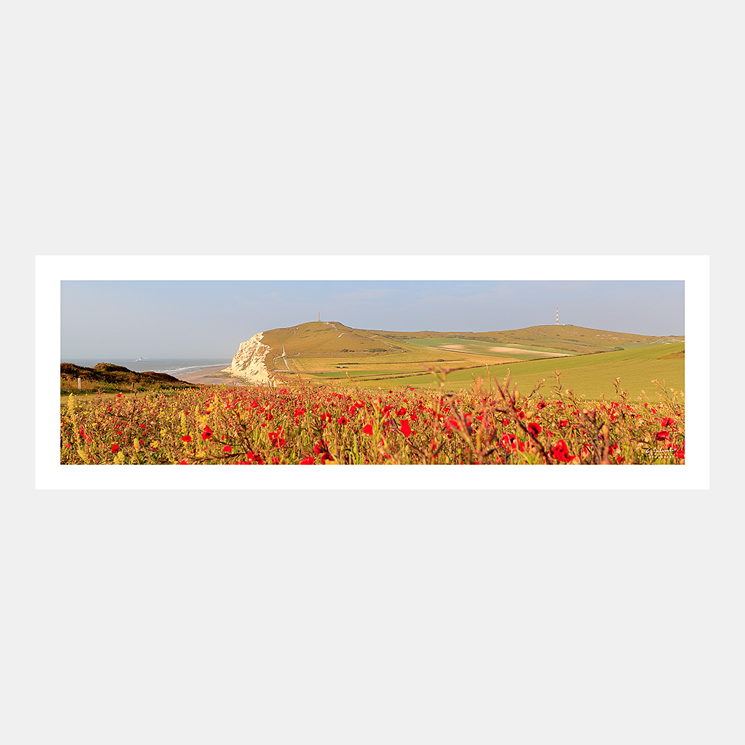 Poster Photo Cap Blanc-Nez - Panoramique - Falaises et collines avec coquelicots - Image de la Côte d'Opale - Hauts-de-France Nord Pas-de-Calais - Christophe Schambert