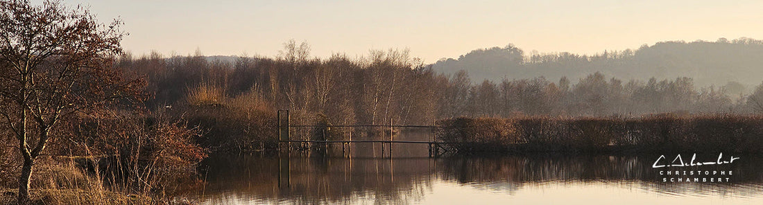 Blog Samsung Galaxy S26 Ultra - Les attentes d'un photographe - Etang de la vallée de la Somme