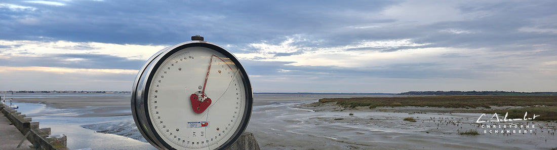 Blog Samsung Galaxy S26 Ultra - Ce que l'on sait - Baie de Somme